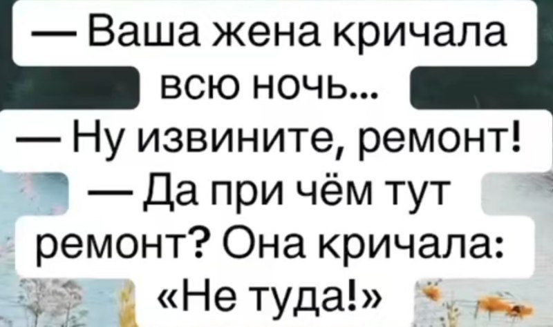 — Ваша жена кричала всю ночь...\n— Ну извините, ремонт!\n— Да при чём тут ремонт? Она кричала: «Не туда!»