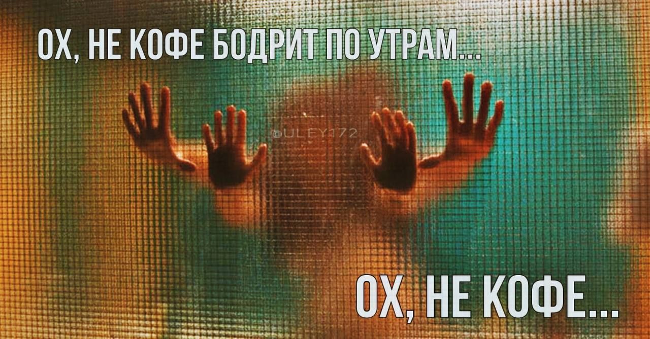 Ох, не кофе бодрит по утрам...
Ох, не кофе...