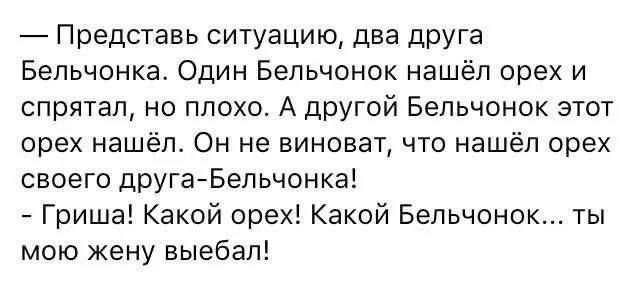 — Представь ситуацию, два друга Белчонка. Один Белчонок нашёл орех и спрятал, но плохо. А другой Белчонок этот орех нашёл. Он не виноват, что нашёл орех своего друга-Белчонка! — Гриша! Какой орех! Какой Белчонок... ты мою жену выебал!