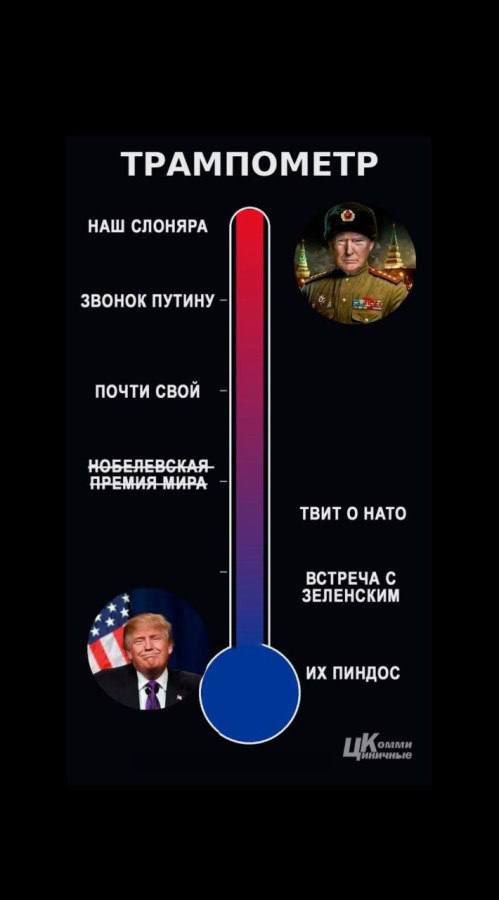 ТРАМПОМЕТР
наш слоняра
звонок путину –
почти свой –
Нобелевская премия мира
твит о нато
встреча с Зеленским
их пиндос