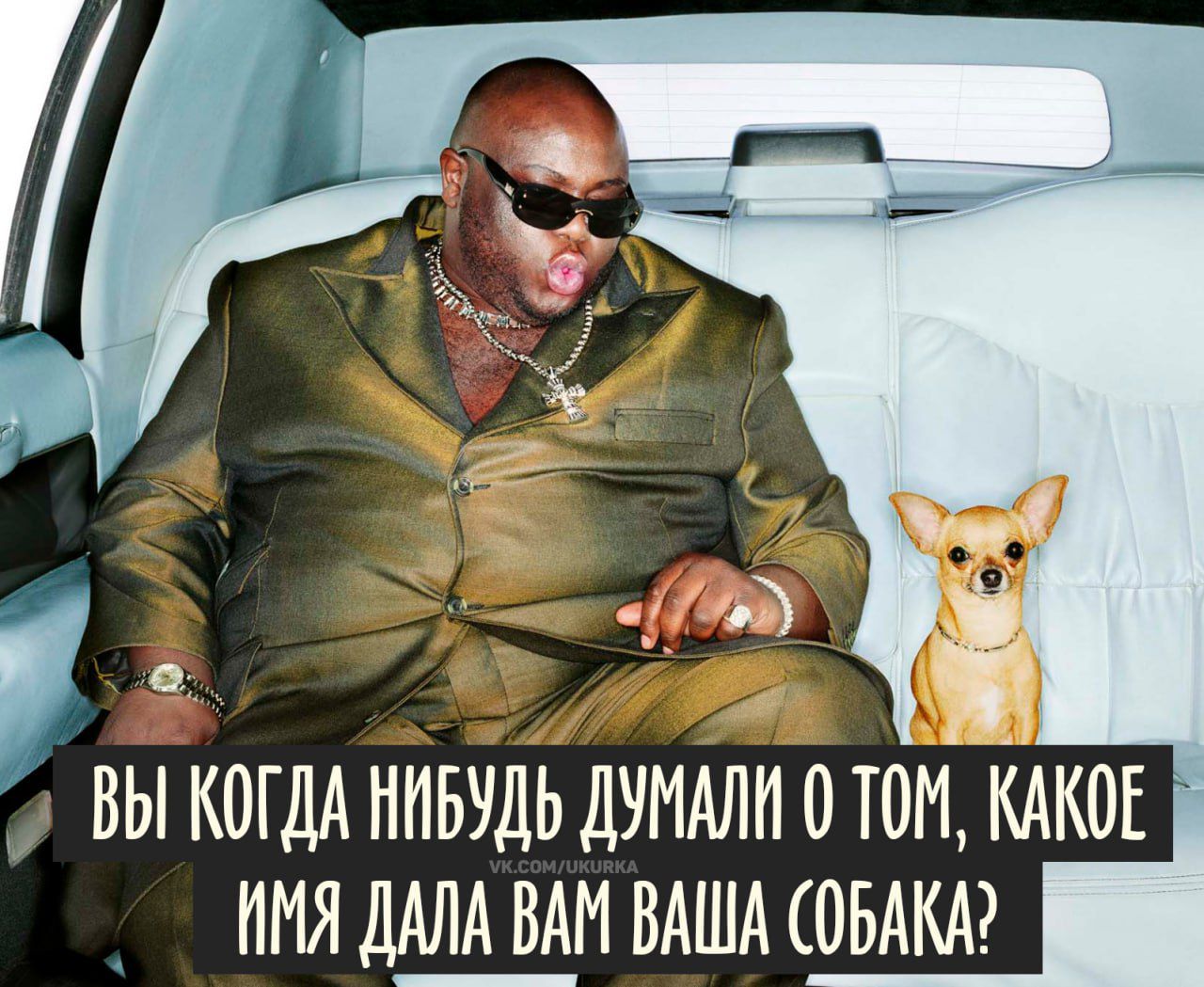 ВЫ КОГДА НИБУДЬ ДУМАЛИ О ТОМ, КАКОЕ ИМЯ ДАЛА ВАМ ВАША СОБАКА?