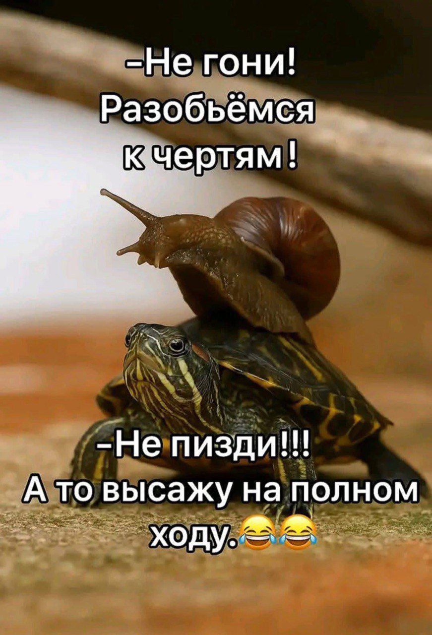 -Не гонi! Разобьёмся к чертям!\n-Не пизди!!! А то высажу на полном ходу😂😂