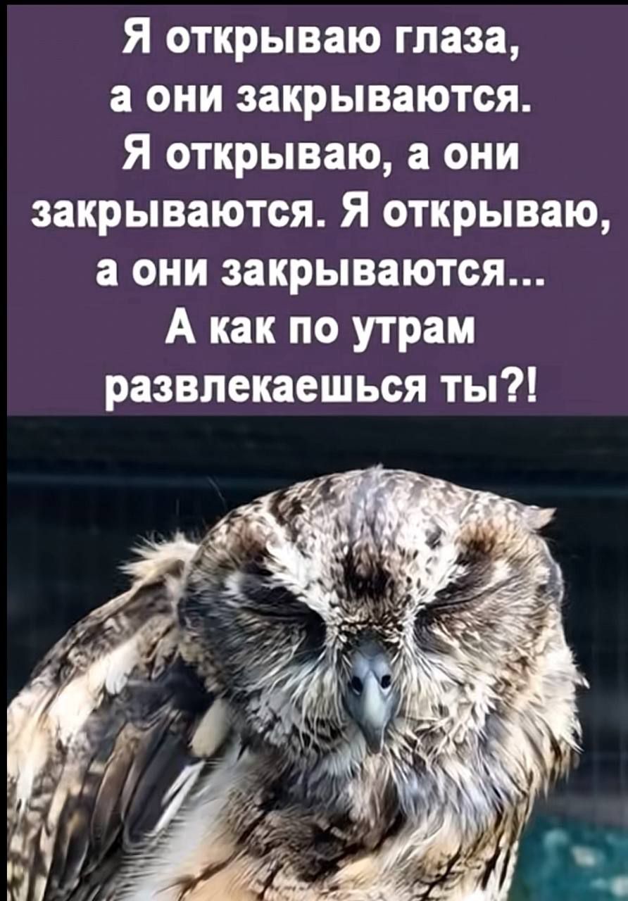 Я открываю глаза, а они закрываются. Я открываю, а они закрываются. Я открываю глаза, а они закрываются... А как по утрам развлекаешься ты?!