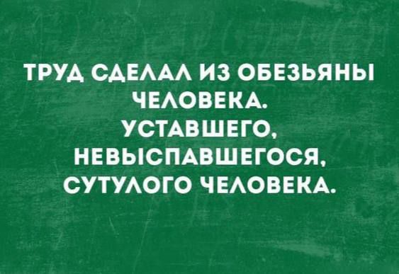 Труд сделал из обезьяны человека. Уставшего, невыспавшегося, сутулого человека.
