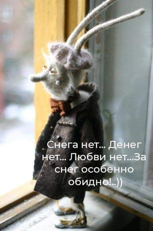 Снега нет... Денег нет... Любви нет...За снег особенно обидно!..))