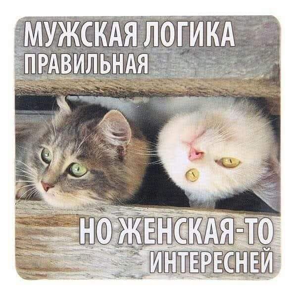 МУЖСКАЯ ЛОГИКА ПРАВИЛЬНАЯ НО ЖЕНСКАЯ ТО ИНТЕРЕСНЕЙ