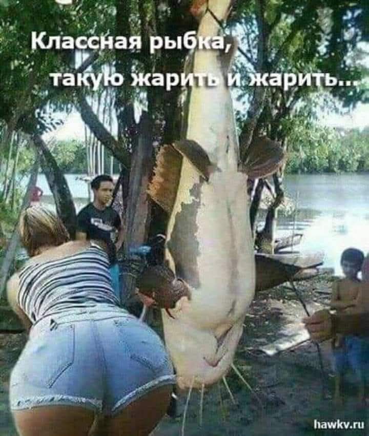 Классная рыбка, такую жарить и жарить...