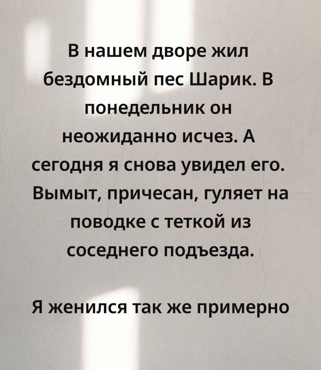В нашем дворе жил бездомный пес Шарик. В понедельник он неожиданно исчез. А сегодня я снова увидел его. Вымыт, причёсан, гуляет на поводке с теткой из соседнего подъезда. Я женился так же примерно