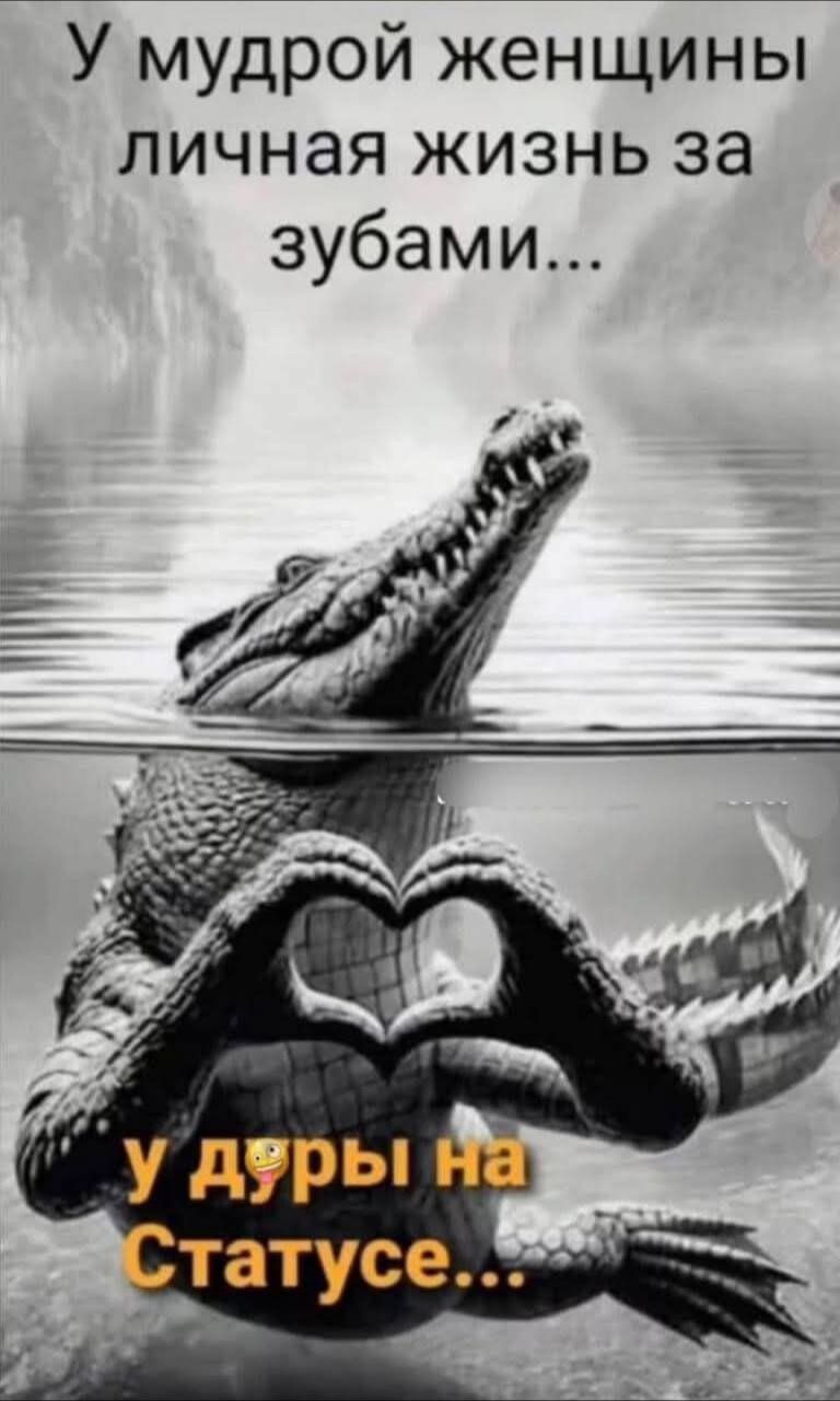 У мудрой женщины личная жизнь за зубами...\nУ дуры на статусе...