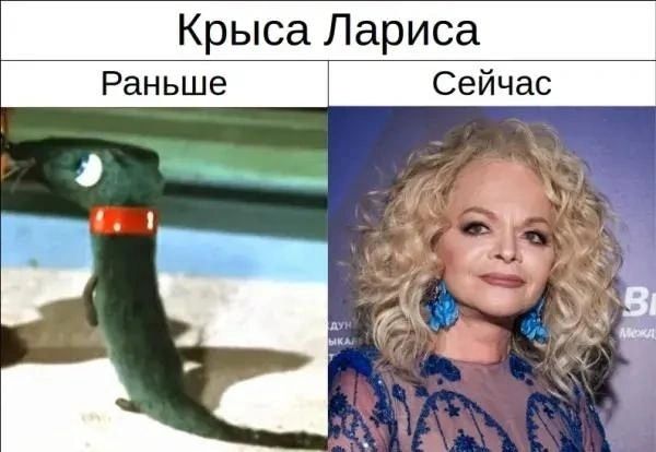 Крыса Лариса Раньше Сейчас