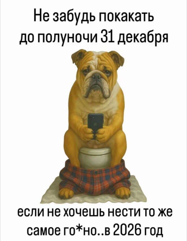 Не забудь покакать до полуночи 31 декабря если не хочешь нести то же самое го*но..в 2026 год