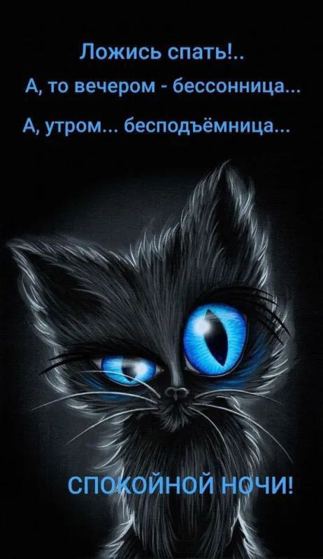 Ложись спать!.. А, то вечером - бессонница... А, утром... бесподьёмница...\n\nСПОКОЙНОЙ НОЧИ!