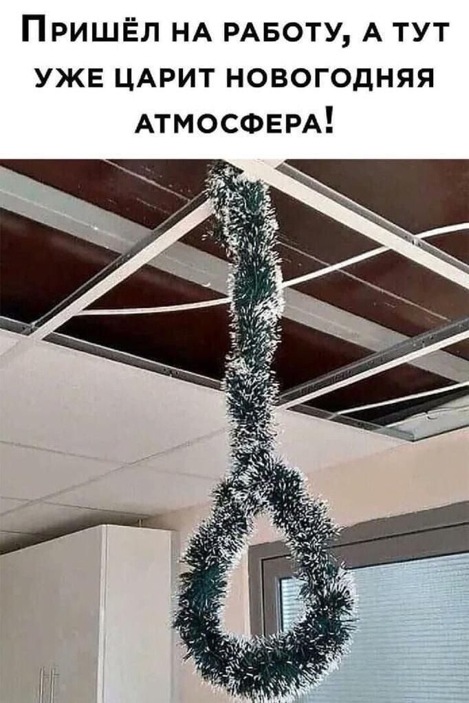 Пришёл на работу, а тут уже царит новогодняя атмосфера!