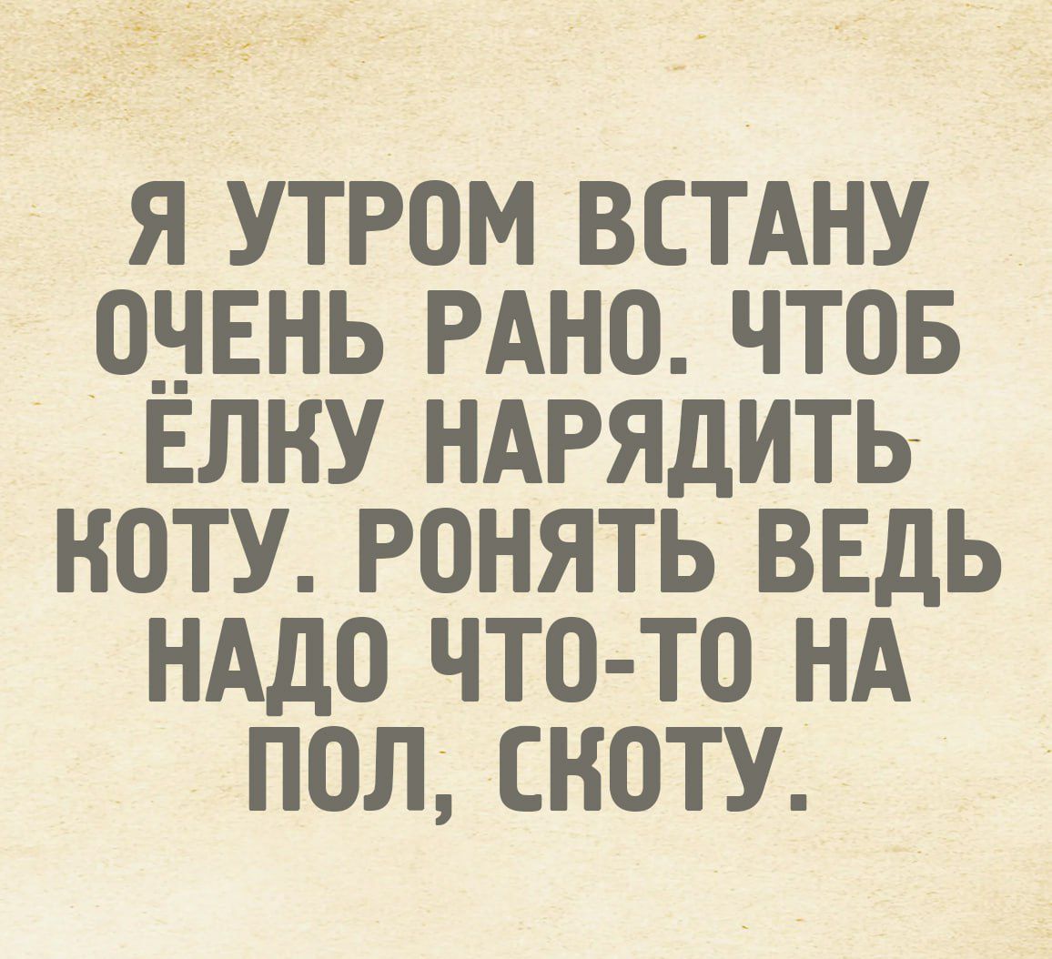 Я утром встану очень рано, чтоб ёлку нарядить коту. Ронять ведь надо что-то на пол, скоту.