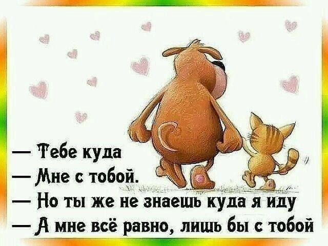 — Тебе куда
— Мне с тобой.
— Но ты же не знаешь куда я иду
— А мне всё равно, лишь бы с тобой