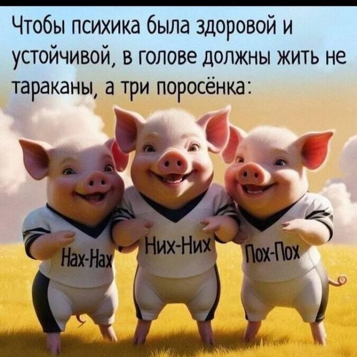 Чтобы психика была здоровой и устойчивой, в голове должны жить не тараканы, а три поросёнка: Нах-Нах, Них-Них, Пох-Пох