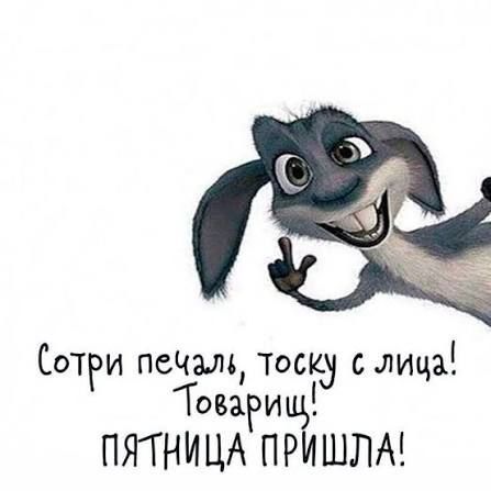 Сотри печаль, тоску с лица! Товарищ! Пятница пришла!