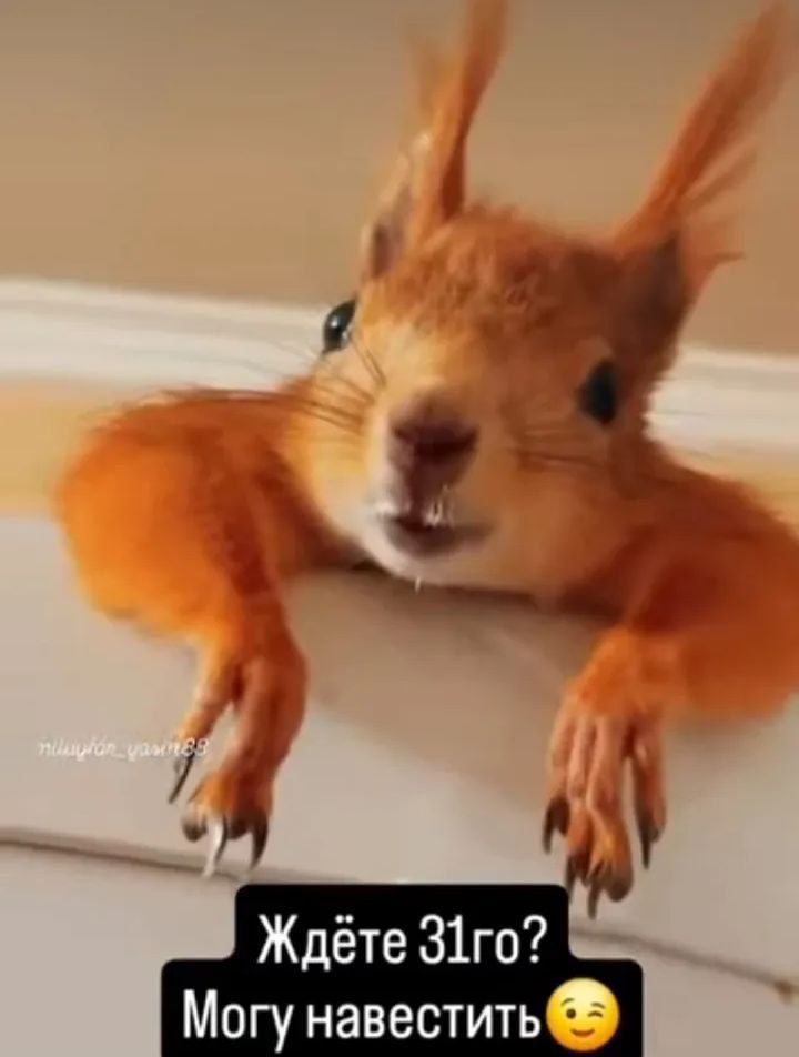 Ждёте 31го? Могу навестить😉