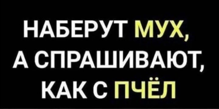 НАБЕРУТ МУХ, А СПРАШИВАЮТ, КАК С ПЧЁЛ
