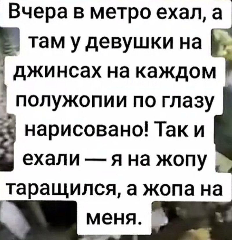 Вчера в метро ехал, а там у девушки на джинсах на каждом полужопии по глазу нарисовано! Так и ехали — я на жопу таращился, а жопа на меня.