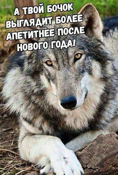 А ТВОЙ БОЧОК ВЫГЛЯДИТ БОЛЕЕ АПЕТИТНЕЕ ПОСЛЕ НОВОГО ГОДА!