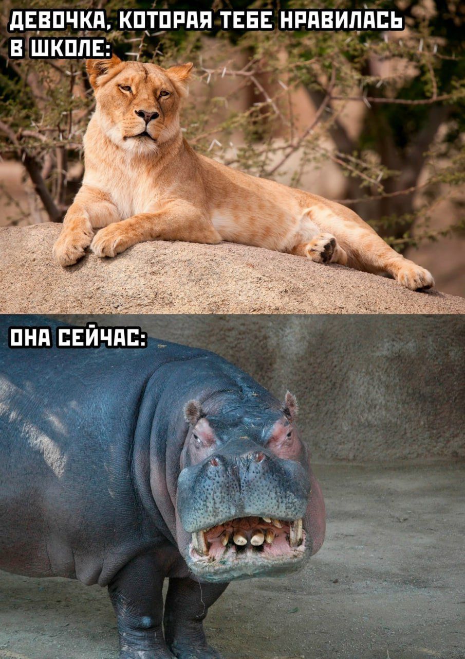 ДЕВОЧКА, КОТОЕ ТЕБЕ НРАВИЛАСЬ В ШКОЛЕ:
ОНА СЕЙЧАС: