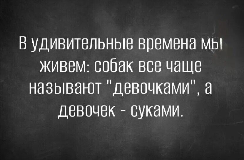 В удивительные времена мы живем: собак все чаще называют 
