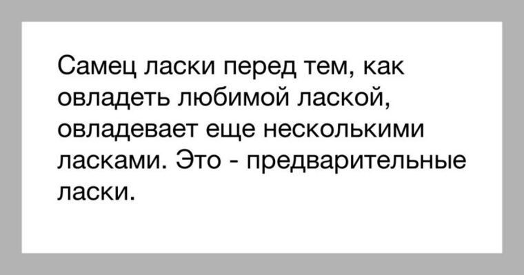 Самец ласки перед тем, как овладеть любимой лаской, овладевает еще несколькими ласками. Это - предварительные ласки.
