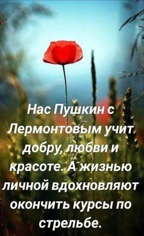 Нас Пушкин с Лермонтовым учит добру, любви и красоте. А жизнью личной вдохновляют окончить курсы по стрельбе.