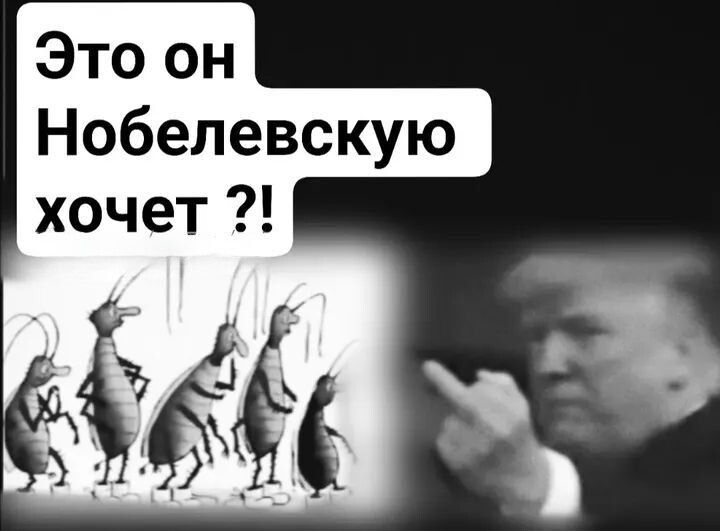 Это он Нобелевскую хочет?!
