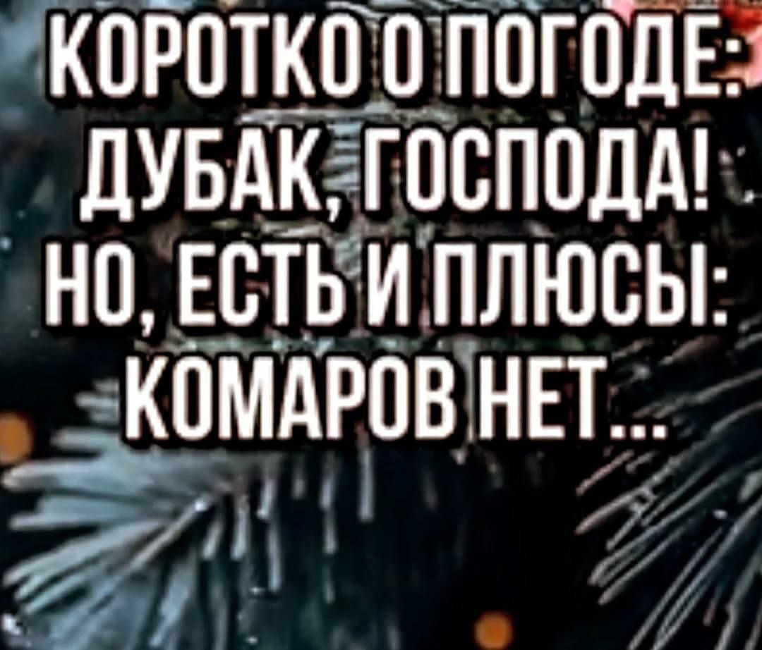 КОРОТКО О ПОГОДЕ: ДУБАК, ГОСПОДА! НО, ЕСТЬ И ПЛЮСЫ: КОМАРОВ НЕТ...