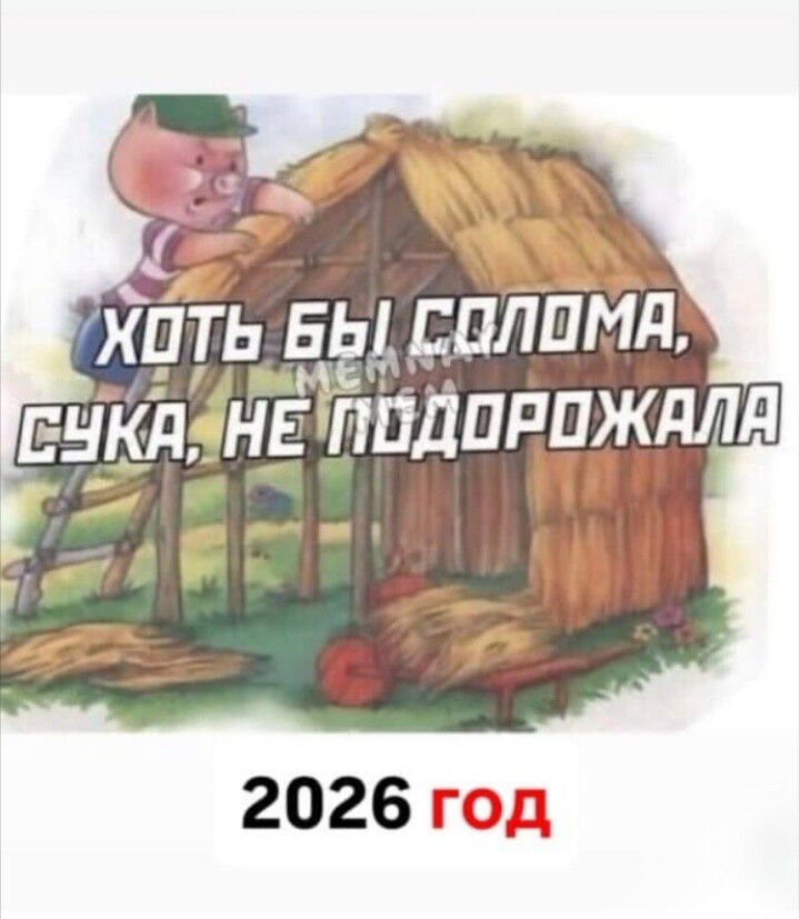 Хоть бы солома, сука, не подорожала

2026 год