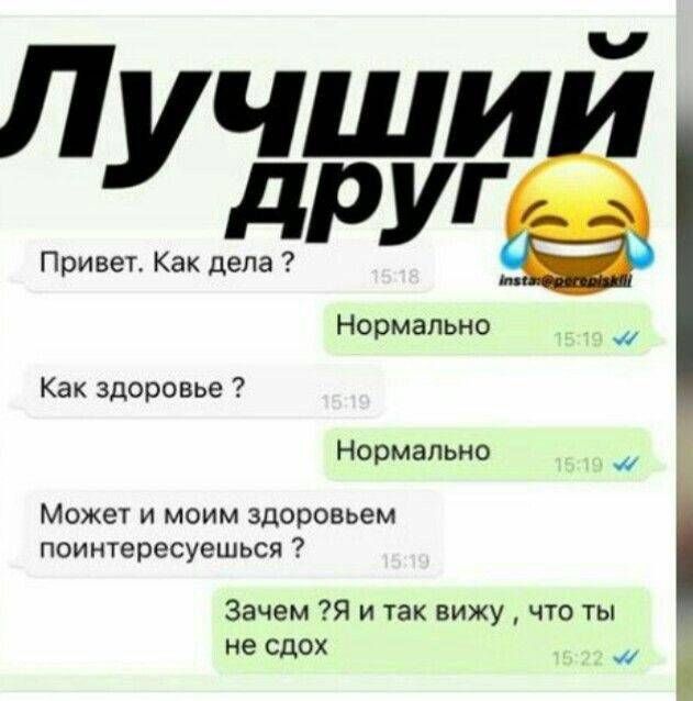 Лучший друг
Привет. Как дела ?
emoji: 😂
Нормально
Как здоровье ?
Нормально
Может и моим здоровьем поинтересуешься ?
Зачем ?Я и так вижу , что ты не сдох