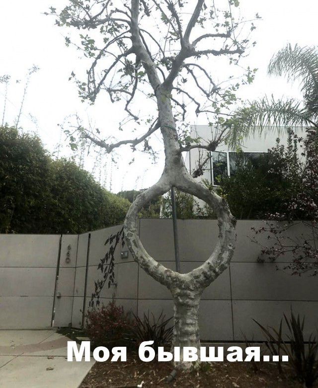 Моя бывшая...