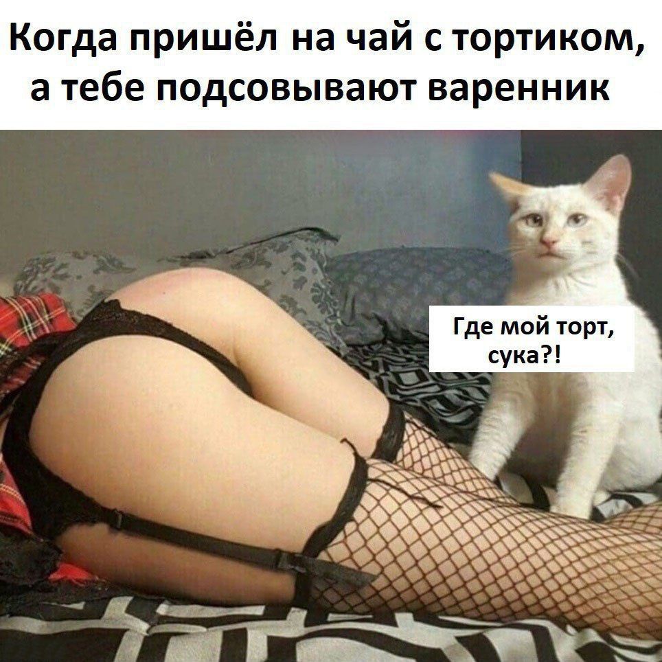 Когда пришёл на чай с тортом, а тебе подсовывают варенник
Где мой торт, сука?!