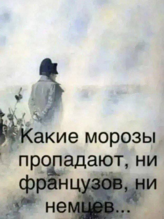 Какие морозы пропадают, ни французов, ни немцев...