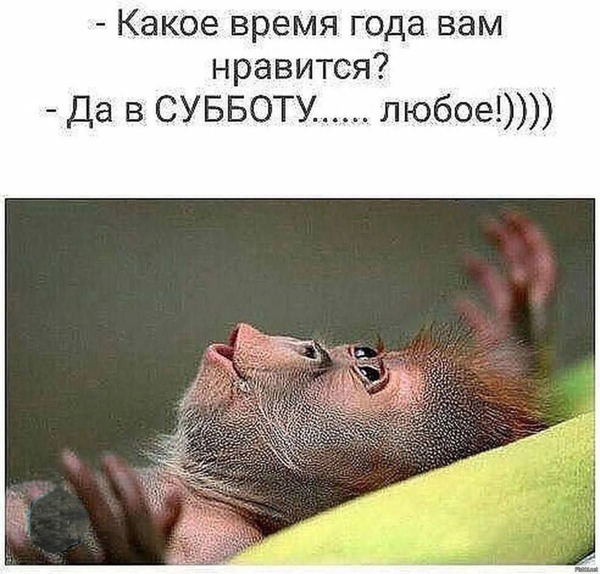 - Какое время года вам нравится? - Да в СУББОТУ...... любое!))))