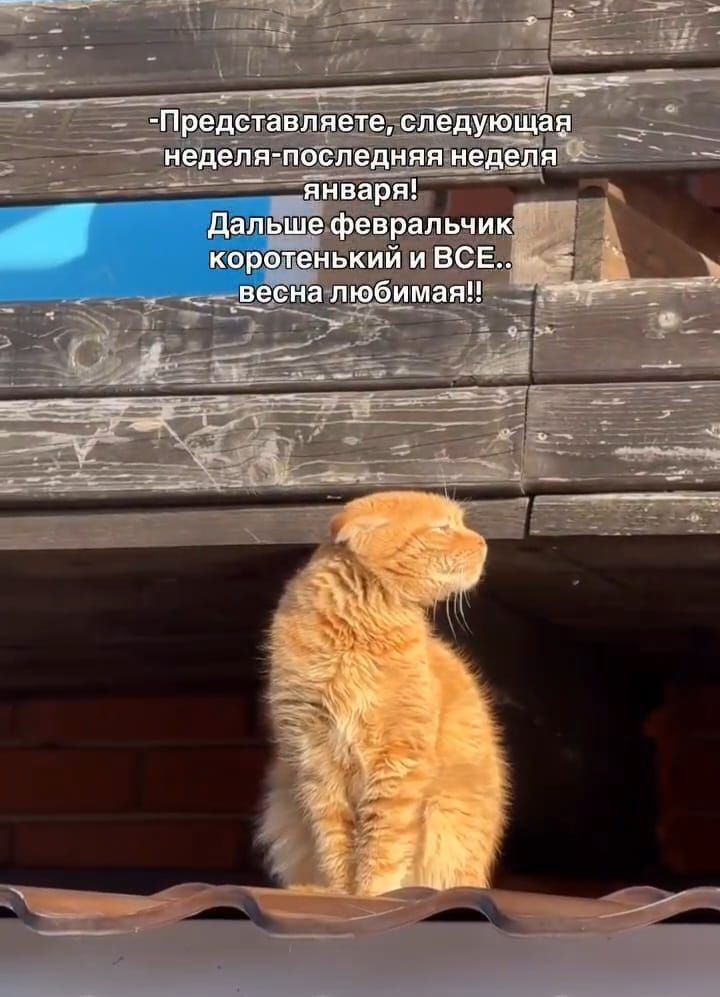 Представляете, следующая неделя-последняя неделя января! Далее февральчик коротенький и всё.. весна любимая!!