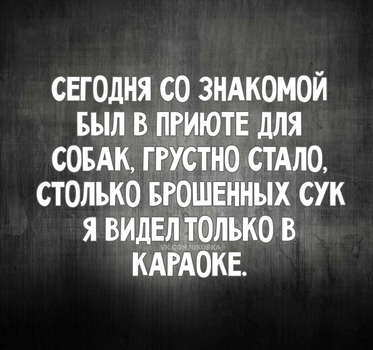 сегодня со знакомой был в приюте для собак, грустно стало, столько брошенных сук я видел только в караоке.
