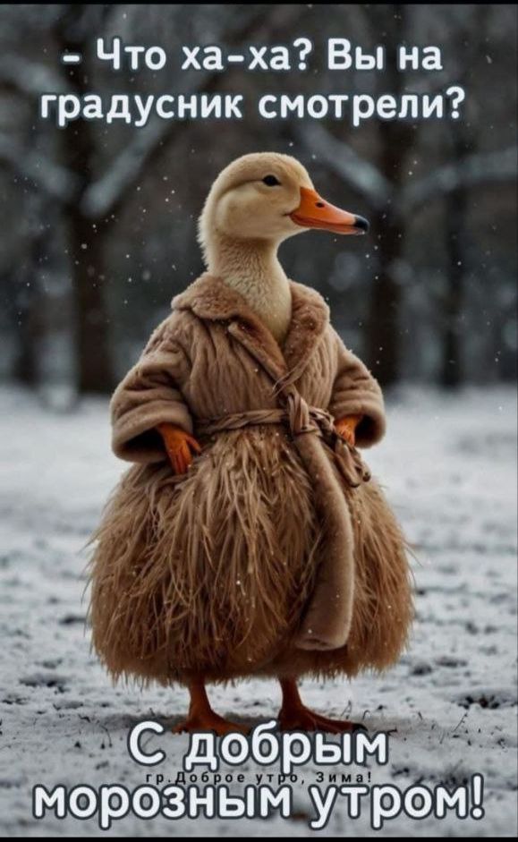 — Что ха-ха? Вы на градусник смотрели?\nС добрым морозным утром!