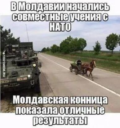 В Молдавии начались совместные учения с НАТО. Молдавская конница показала отличные результаты