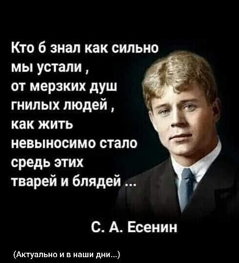 Кто б знал как сильно Мы устали, от мерзких душ гнилых людей, как жить невыносимо стало средь этих тварей и блядей... С. А. Есенин (Актуально и в наши дни...)