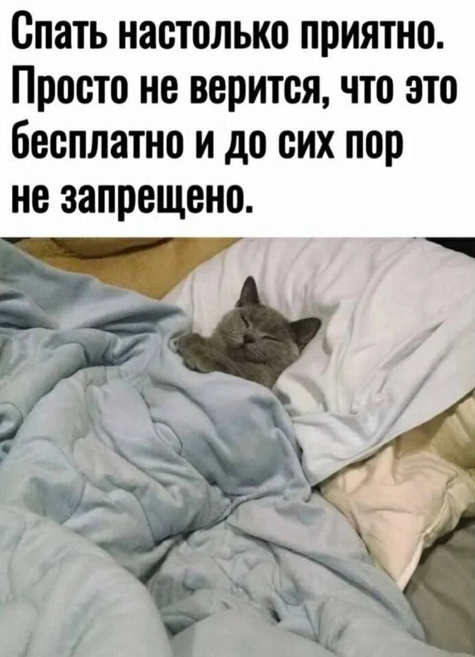 Спать настолько приятно. Просто не верится, что это бесплатно и до сих пор не запрещено.