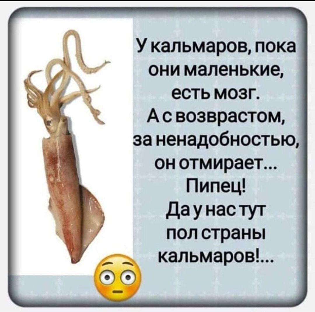 У кальмаров, пока они маленькие, есть мозг. А с возрастом, за ненадобностью, он отмирает... Пипец! Да у нас тут пол страны кальмаров!...