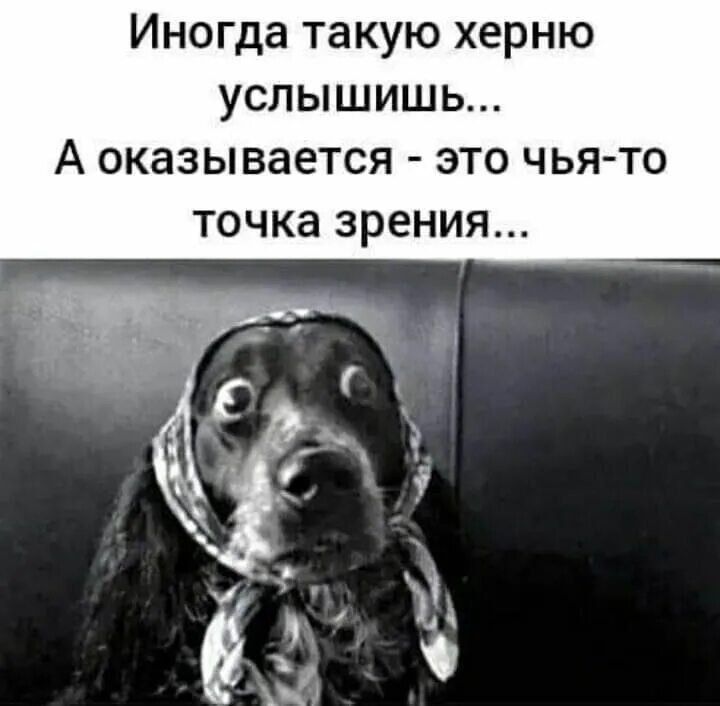 Иногда такую херню услышишь... А оказывается - это чья-то точка зрения...