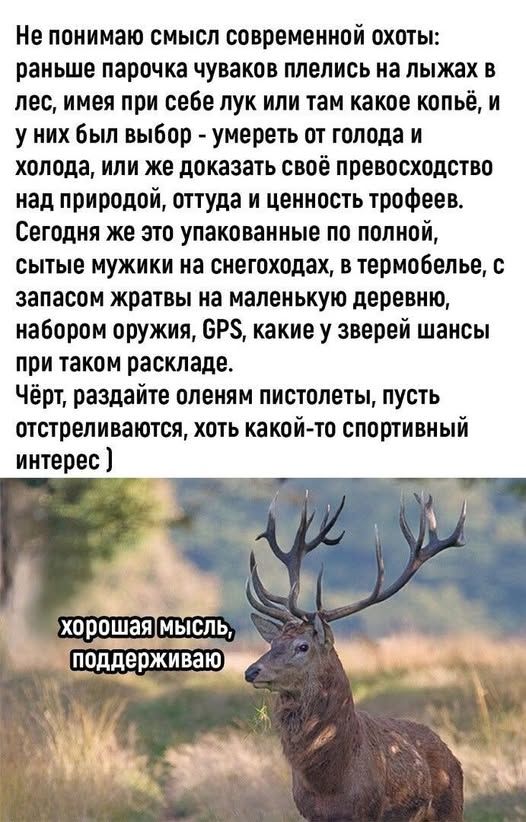 Не понимаю смысл современной охоты: раньше парочка чуваков пелились на лыжах в лес, имея при себе лук или там какое копьё, и у них был выбор - умереть от голода и холода, или же доказать своё превосходство над природой, откуда и ценность трофеев. Сегодня же это упакованные по полной, сытые мужики на снегоходах, в термобелье, с запасом жратвы на маленькую деревню, набором оружия, GPS, какие у зверей шансы при таком раскладе. Чёрт, раздайте оленям пистолеты, пусть отстреливаются, хоть какой-то спортивный интерес )