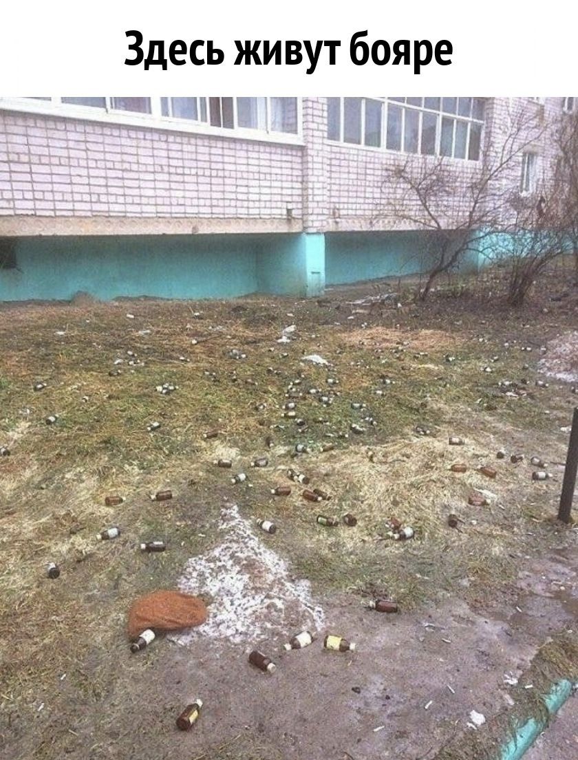 Здесь живут бояре