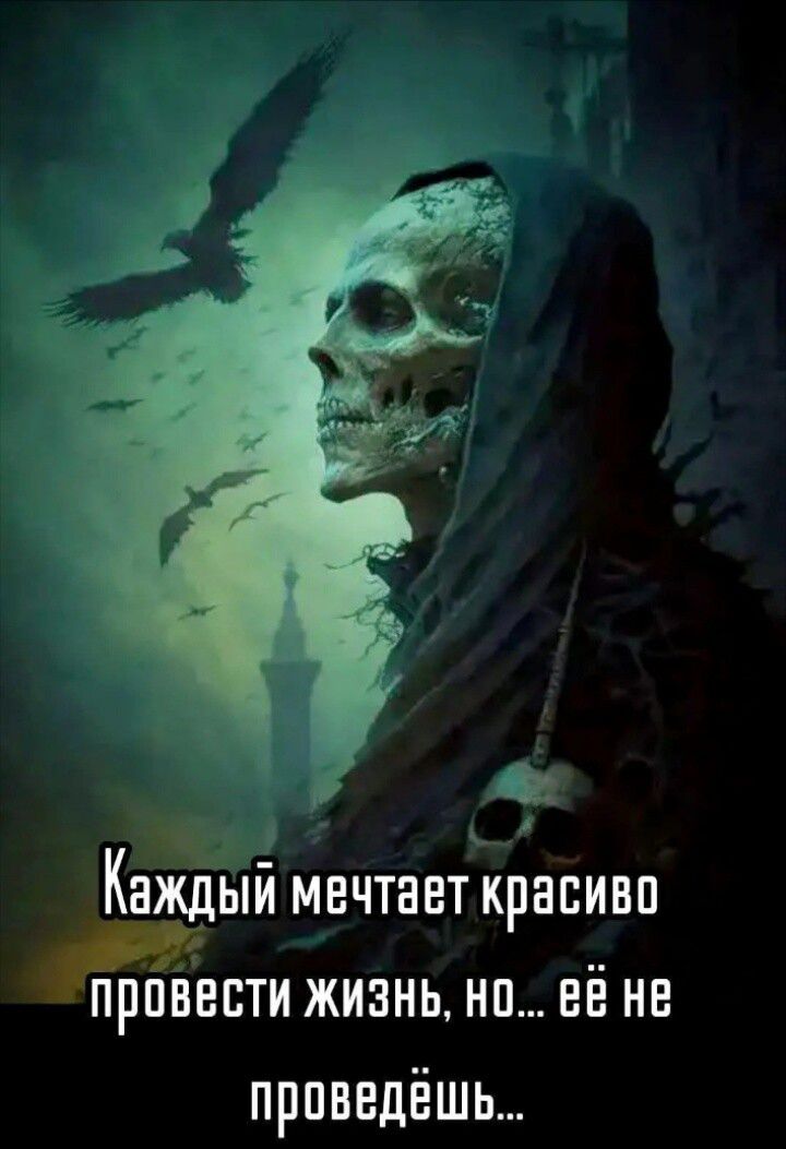 Каждый мечтает красиво провести жизнь, но... её не проведёшь...