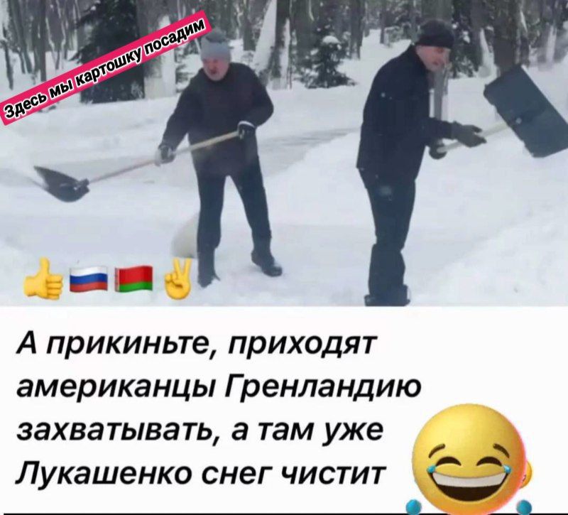 А прикиньте, приходят американцы Гренландию захватывать, а там уже Лукашенко снег чистит 😂