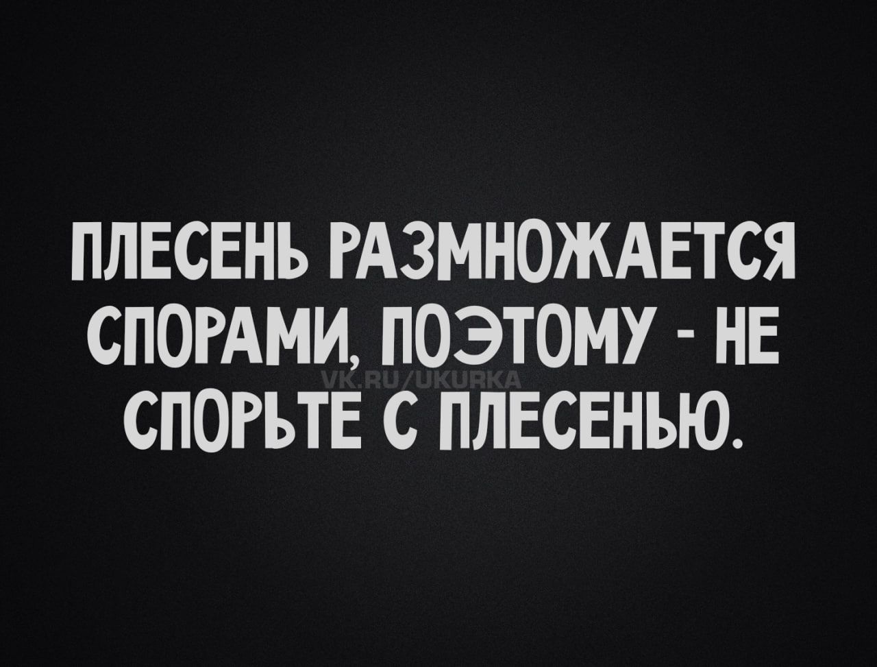 ПЛЕСЕНЬ РАЗМНОЖАЕТСЯ СПОРАМИ, ПОЭТОМУ - НЕ СПОРЬТЕ С ПЛЕСНЕЙ.